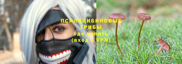 PSILOCYBIN Баксан