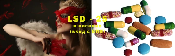 PSILOCYBIN Баксан