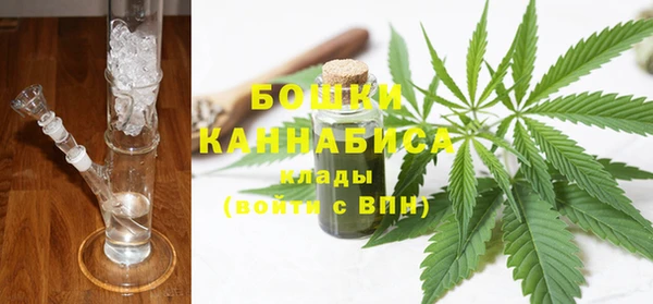 PSILOCYBIN Баксан