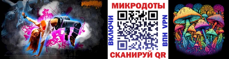 OMG сайт  Калининец  Псилоцибиновые грибы Psilocybine cubensis 